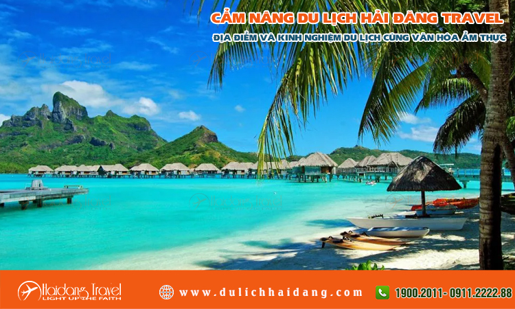 Khám Phá Những Điều Thú Vị Xung Quanh Tỷ Lệ Kèo Nhà Cái - Cẩm Nang Toàn Diện