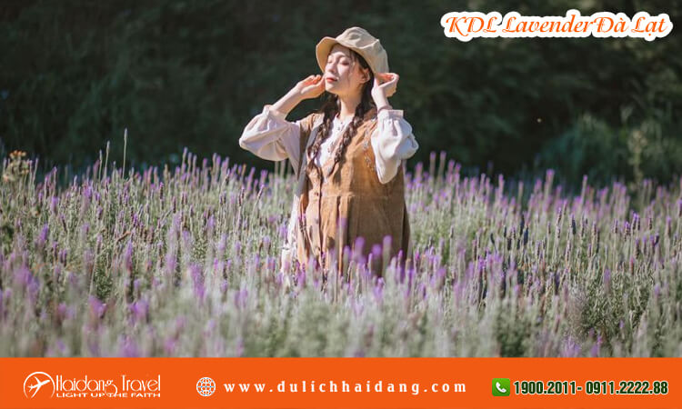 Khu du lịch Lavender Đà Lạt 