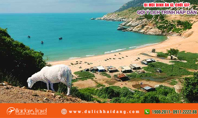 Đi Mũi Dinh ăn gì chơi gì?