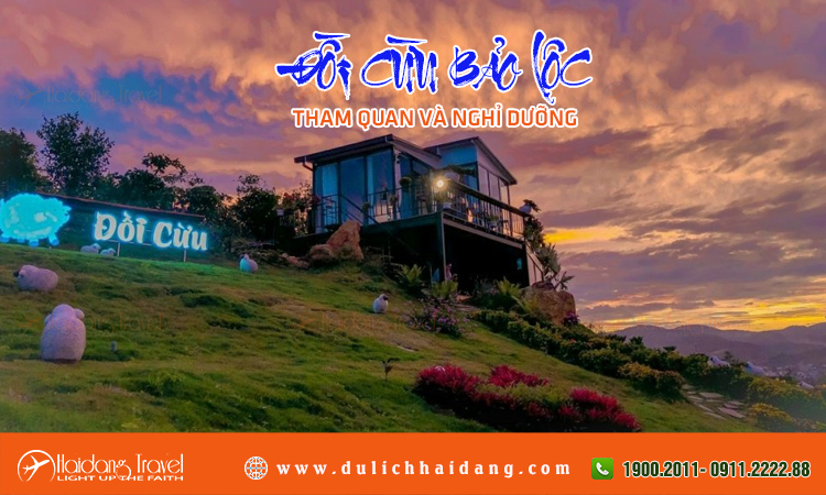 Đồi cừu Bảo Lộc