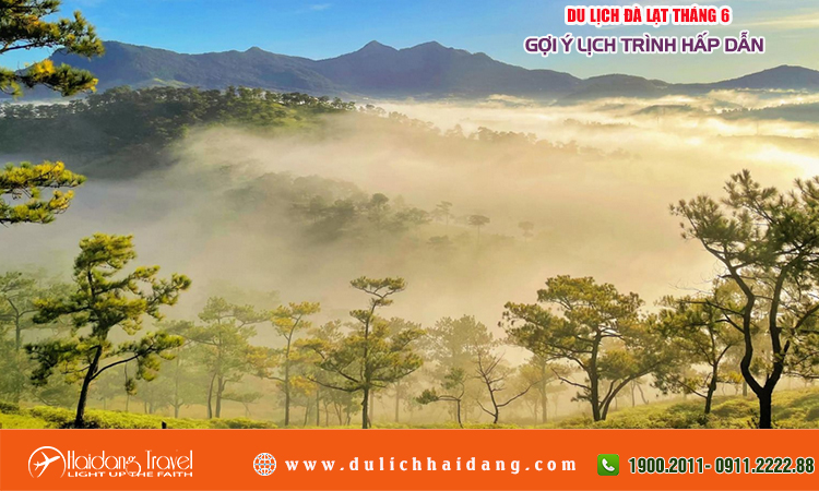 Du lịch Đà Lạt tháng 6