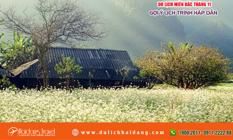 Du lịch Miền Bắc tháng 11