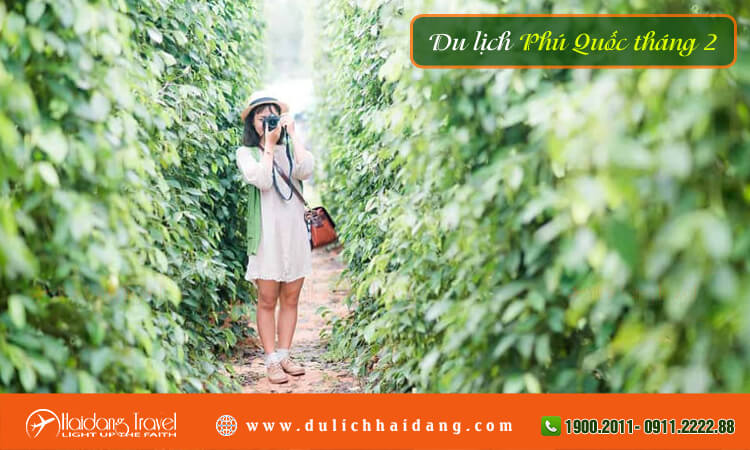 Du lịch Phú Quốc tháng 2 