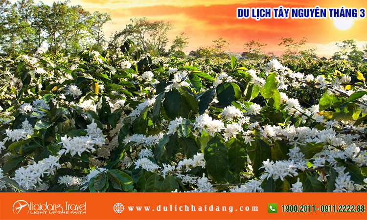 Du lịch Tây Nguyên tháng 3