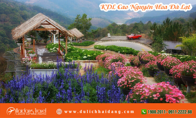Khu du lịch Cao Nguyên Hoa Đà Lạt 