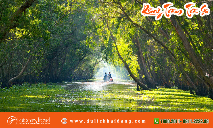 Rừng tràm Trà Sư 