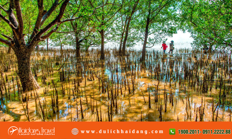 Tour du lịch Sóc Trăng