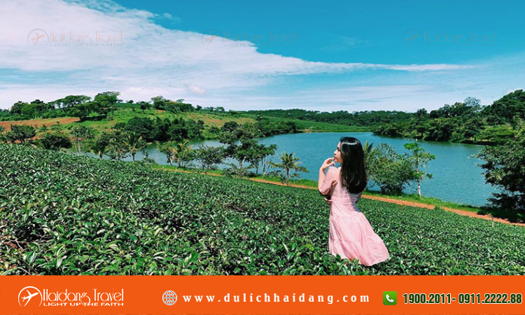Tour du lịch Bảo Lộc