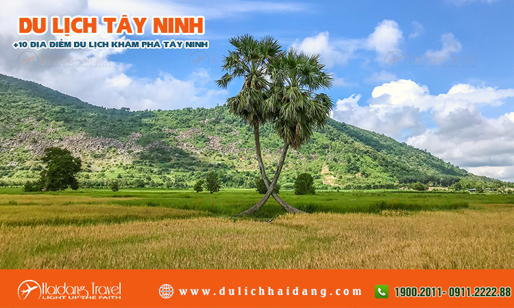 Tour du lịch Tây Ninh