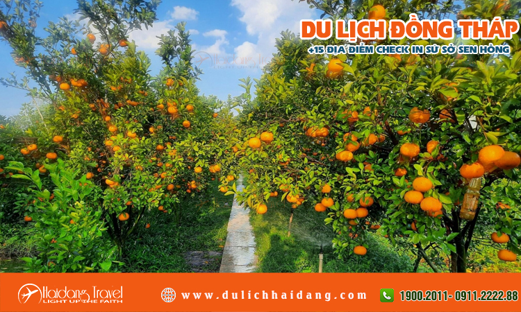 Tour du lịch Đồng Tháp