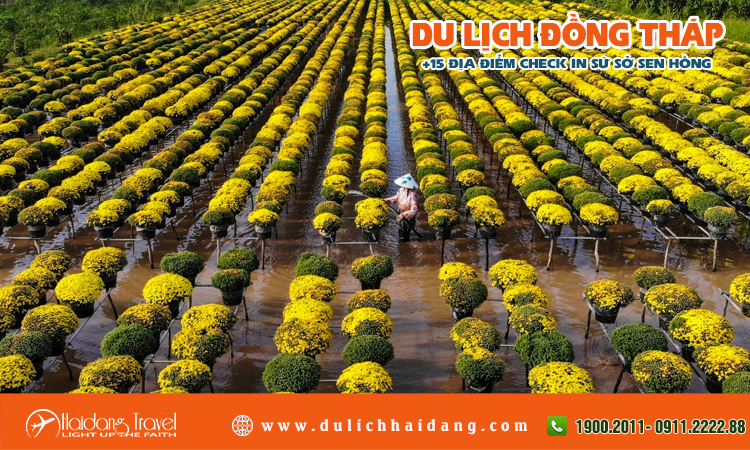 Tour du lịch Đồng Tháp