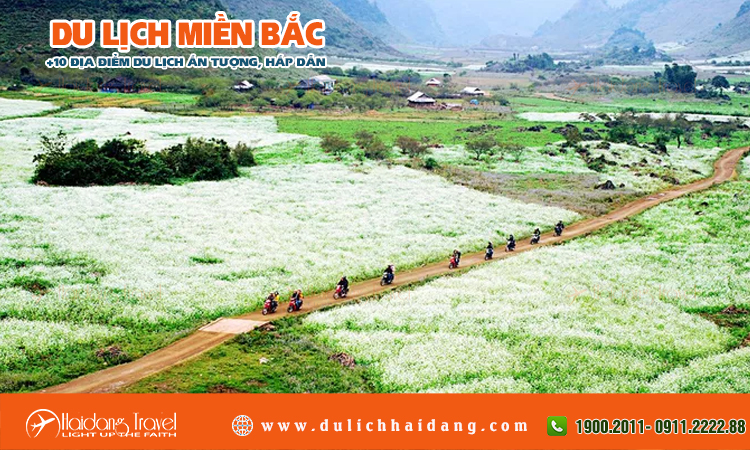 Tour du lịch miền bắc