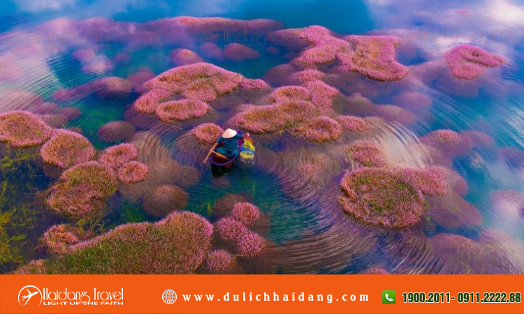 Tour du lịch Bảo Lộc