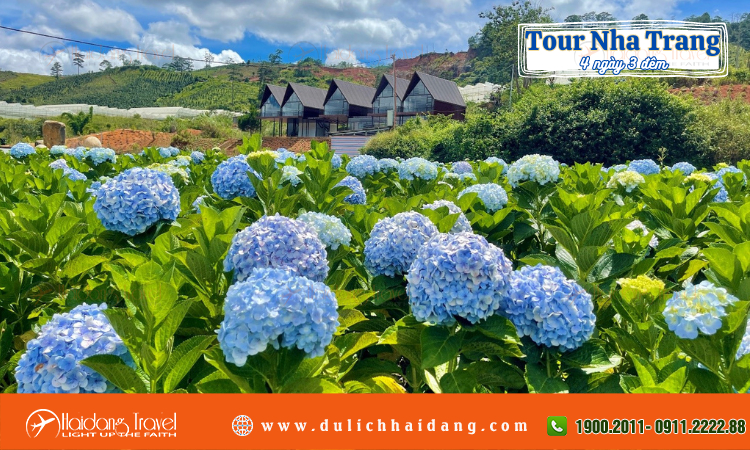 Tour Nha Trang 4 ngày 3 đêm