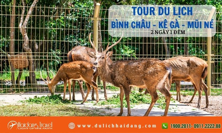 Tour du lịch Bình Châu Kê Gà Mũi Né 2 ngày 1 đêm 