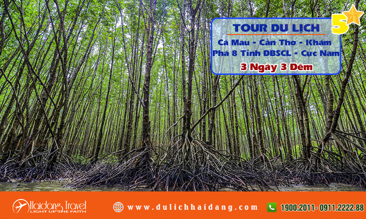 Tour Cà Mau Cần Thơ Chinh Phục Cực Nam Tổ Quốc 3 ngày 3 đêm