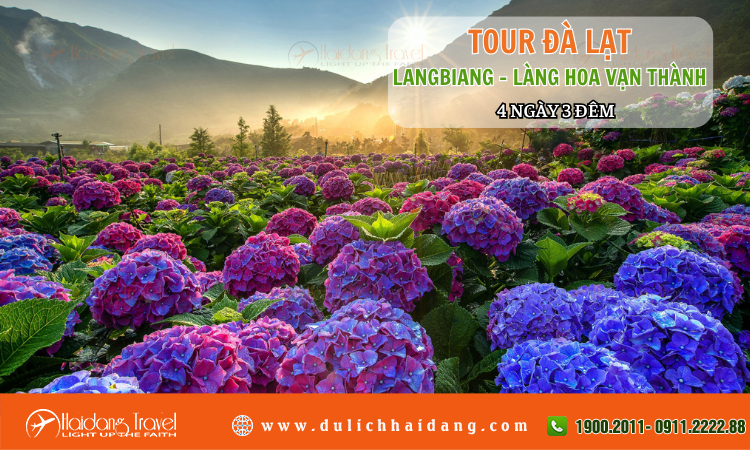 Tour Đà Lạt Langbiang Làng Hoa Vạn Thành 4 ngày 3 đêm 