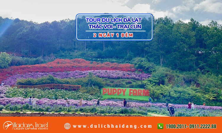 Tour Đà Lạt Thác Voi Trại Cún 2 ngày 1 đêm