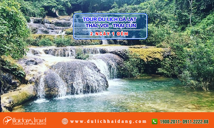Tour Đà Lạt Thác Voi Trại Cún 2 ngày 1 đêm