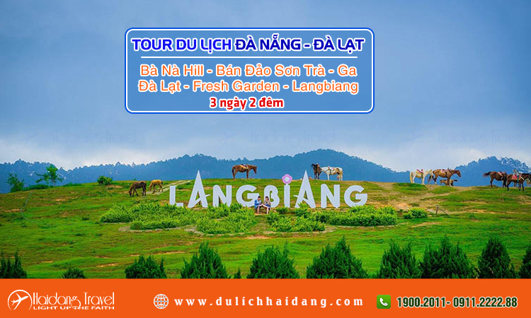 Tour Đà Nẵng Đà Lạt 3 ngày 2 đêm