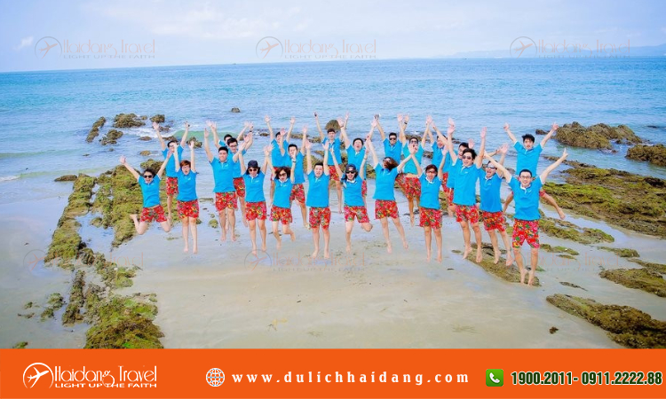 Tour sự kiện
