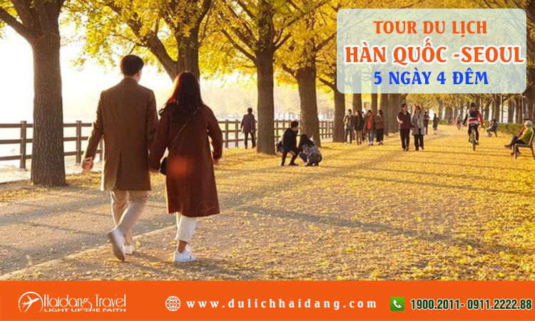 Tour du lịch Hàn Quốc Seoul đảo Nami 5 ngày 4 đêm