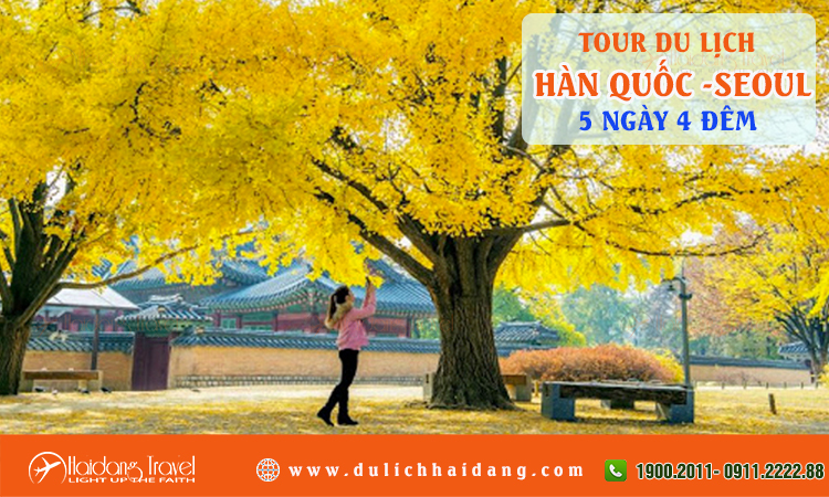 Tour du lịch Hàn Quốc Seoul đảo Nami 5 ngày 4 đêm