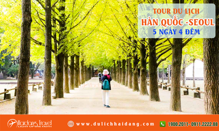 Tour du lịch Hàn Quốc Seoul đảo Nami 5 ngày 4 đêm