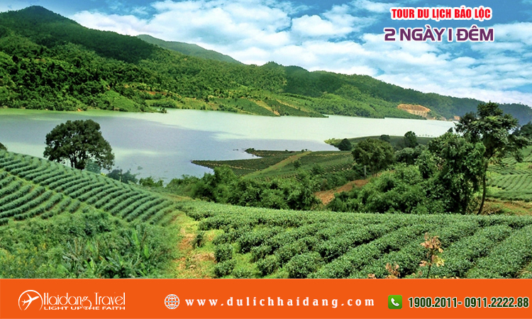 Tour du lịch Bảo Lộc 2 ngày 1 đêm
