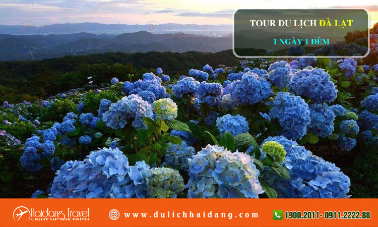 Tour Đà Lạt 1 ngày 1 đêm 
