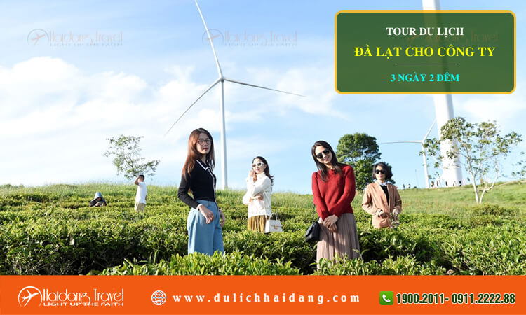 Tour du lịch Đà Lạt cho công ty 3 ngày 2 đêm 