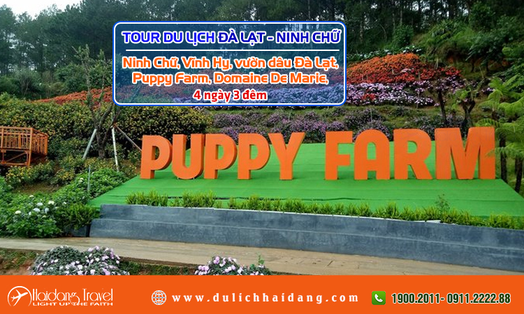 Tour du lịch Đà Lạt Ninh Chữ 4 ngày 3 đêm