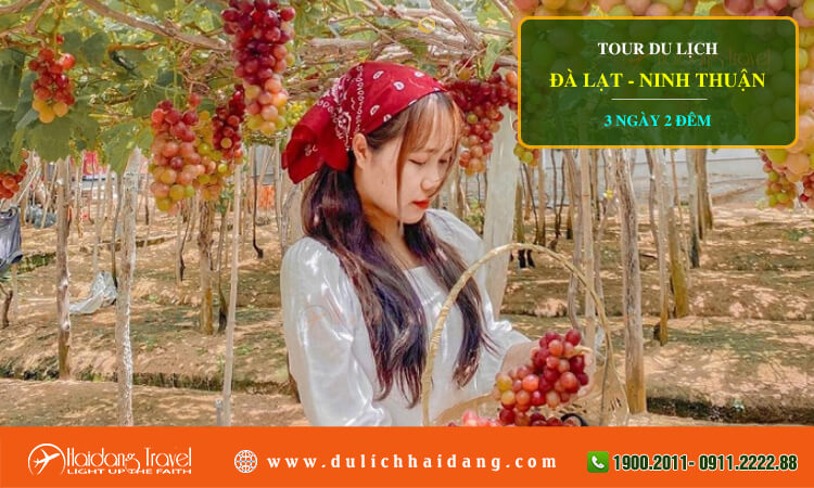 Tour du lịch Đà Lạt Ninh Thuận 3 ngày 2 đêm 