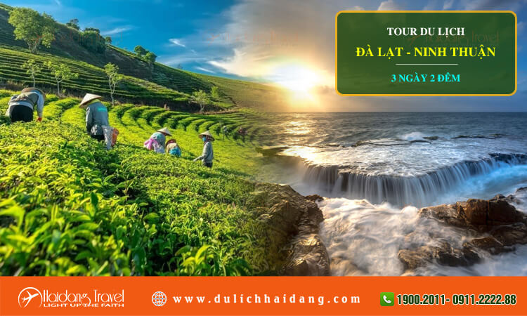Tour du lịch Đà Lạt Ninh Thuận 3 ngày 2 đêm 