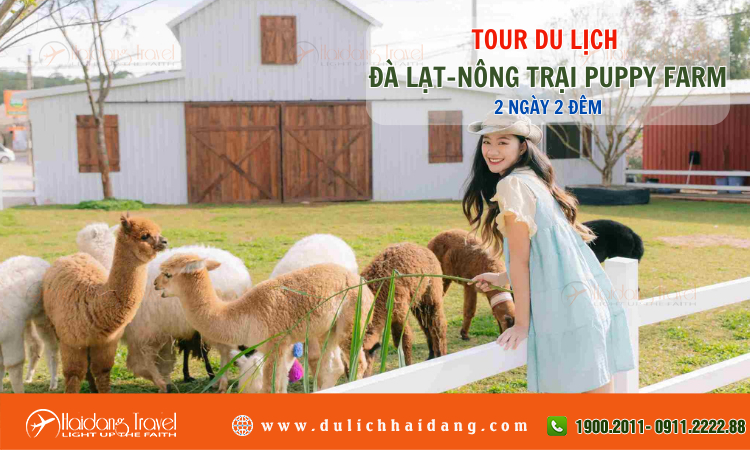 Tour du lịch Đà Lạt Nông Trại Puppy Farm 2 ngày 2 đêm 