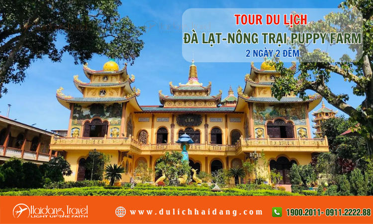 Tour du lịch Đà Lạt Nông Trại Puppy Farm 2 ngày 2 đêm 
