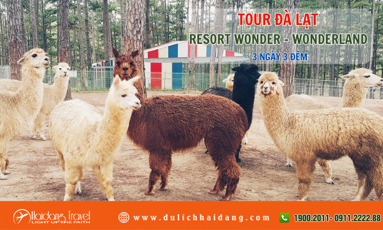 Tour du lịch Đà Lạt Resort Wonder Wonderland 3 ngày 3 đêm 
