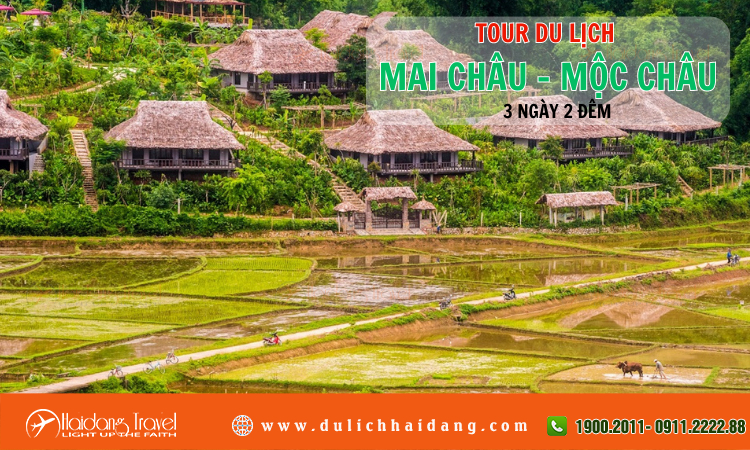 Tour du lịch Mai Châu Mộc Châu 3 ngày 2 đêm