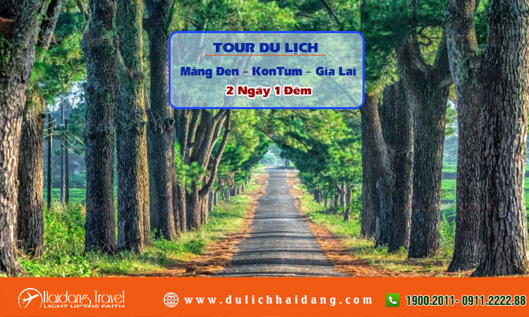 Tour du lịch Măng Đen KonTum Gia Lai 2 ngày 1 đêm