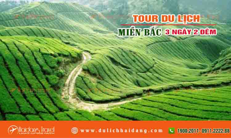 Tour miền bắc 3 ngày 2 đêm