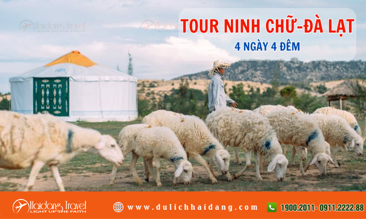 Tour du lịch Ninh Chữ Đà Lạt 4 ngày 4 đêm 