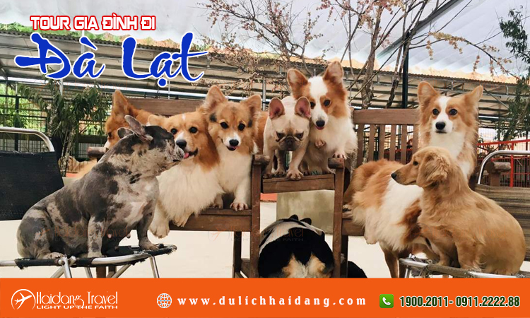 Tour gia đình Đà Lạt