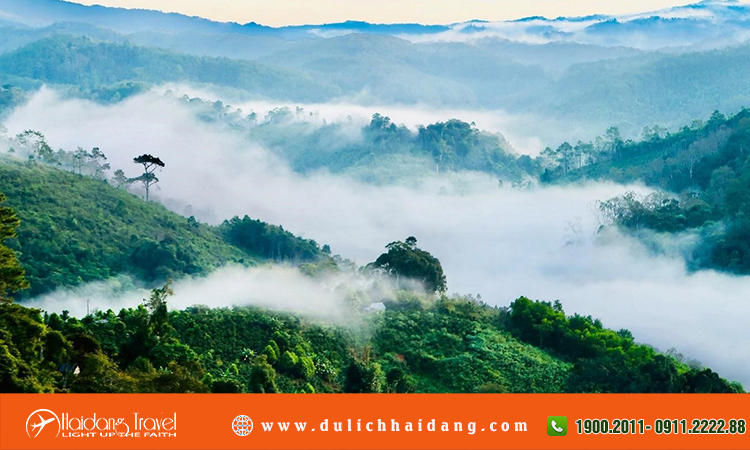 Tour limousine Măng Đen - Kon Tum - Tà Đùng 4 ngày 3 đêm