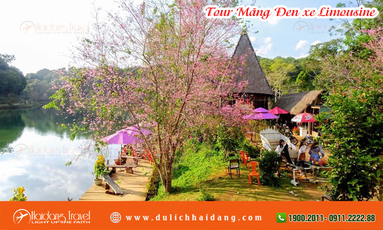 Tour Măng Đen xe limousine 