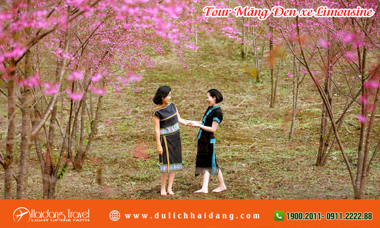 Tour Măng Đen xe limousine 
