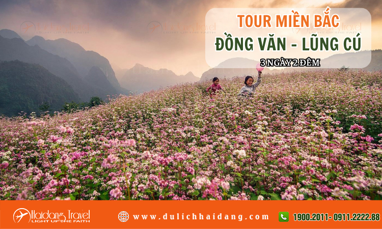 Tour Miền Bắc Đồng Văn  Lũng Cú 3 ngày 2 đêm 