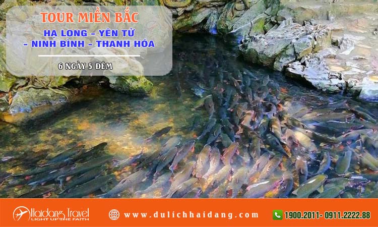 Tour miền Bắc Hạ Long Yến Tử Ninh Bình Thanh Hóa 6 ngày 5 đêm
