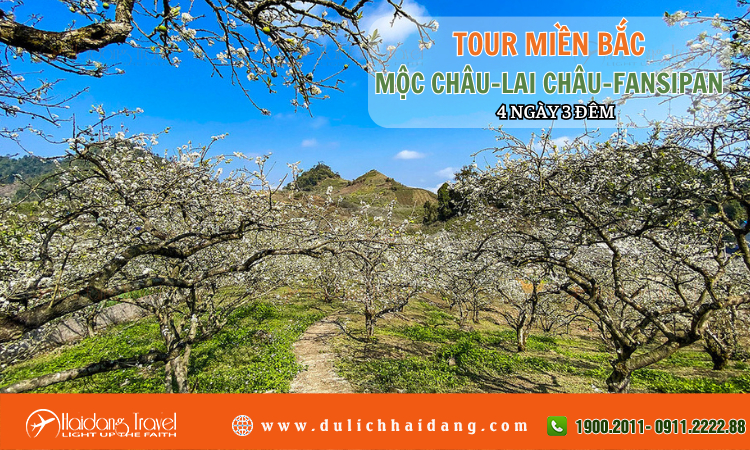 Tour Miền Bắc Mộc Châu Lai Châu Fansipan 4 ngày 3 đêm