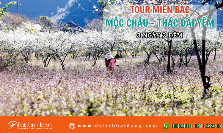 Tour miền Bắc Mộc Châu – Thác Dải Yếm 3 ngày 2 đêm  