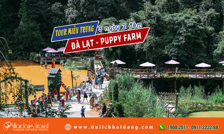 Tour miền trung đà lạt nông trại Puppy farm 3 ngày 3 đêm